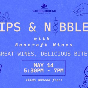 Wine Tasting & Nibbles Evening