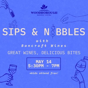 Wine Tasting & Nibbles Evening