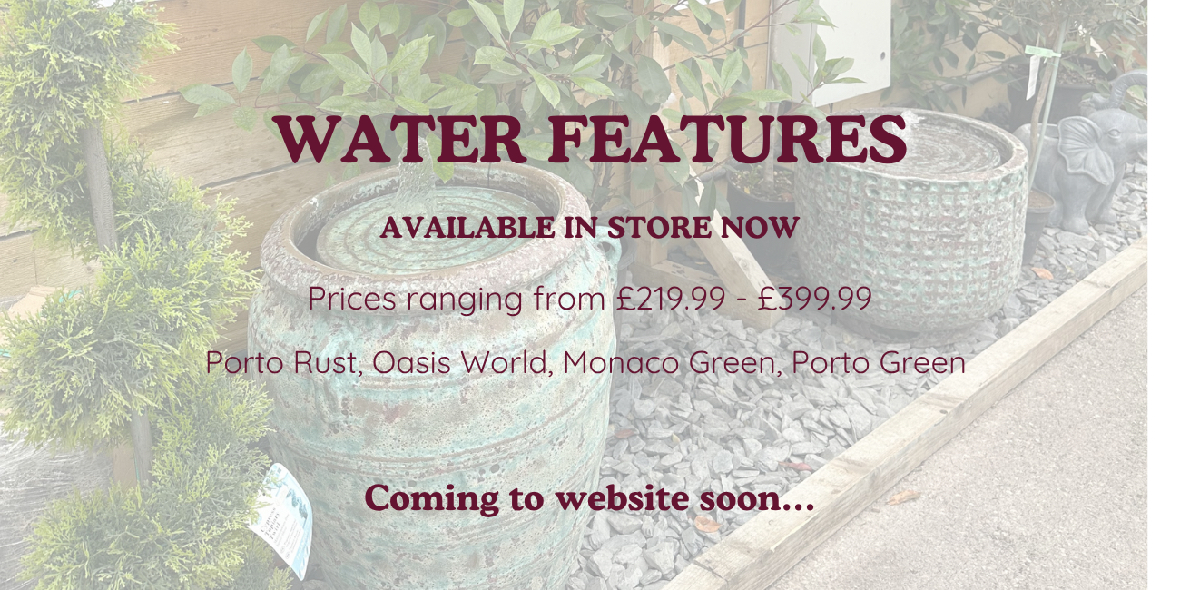 COMING SOON - Page 2 - Water Features