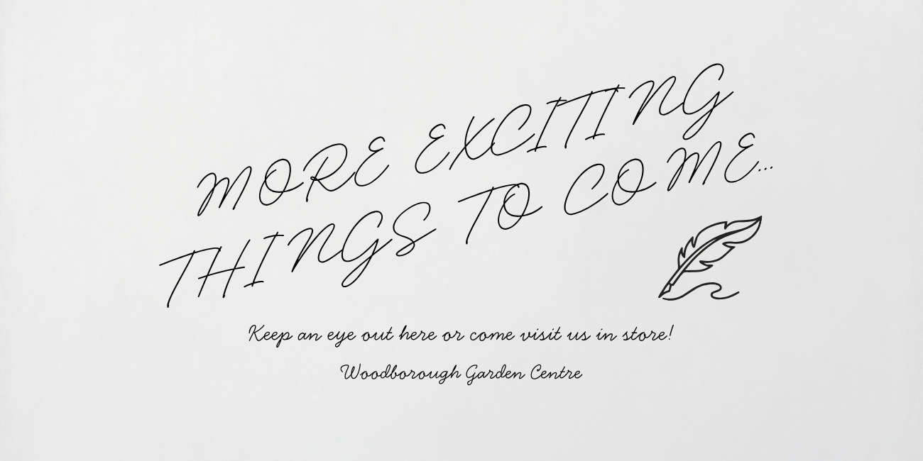COMING SOON - Page 3 - More to Come