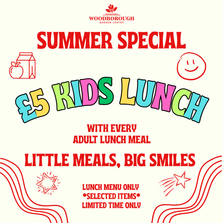 Kids Lunch Offer