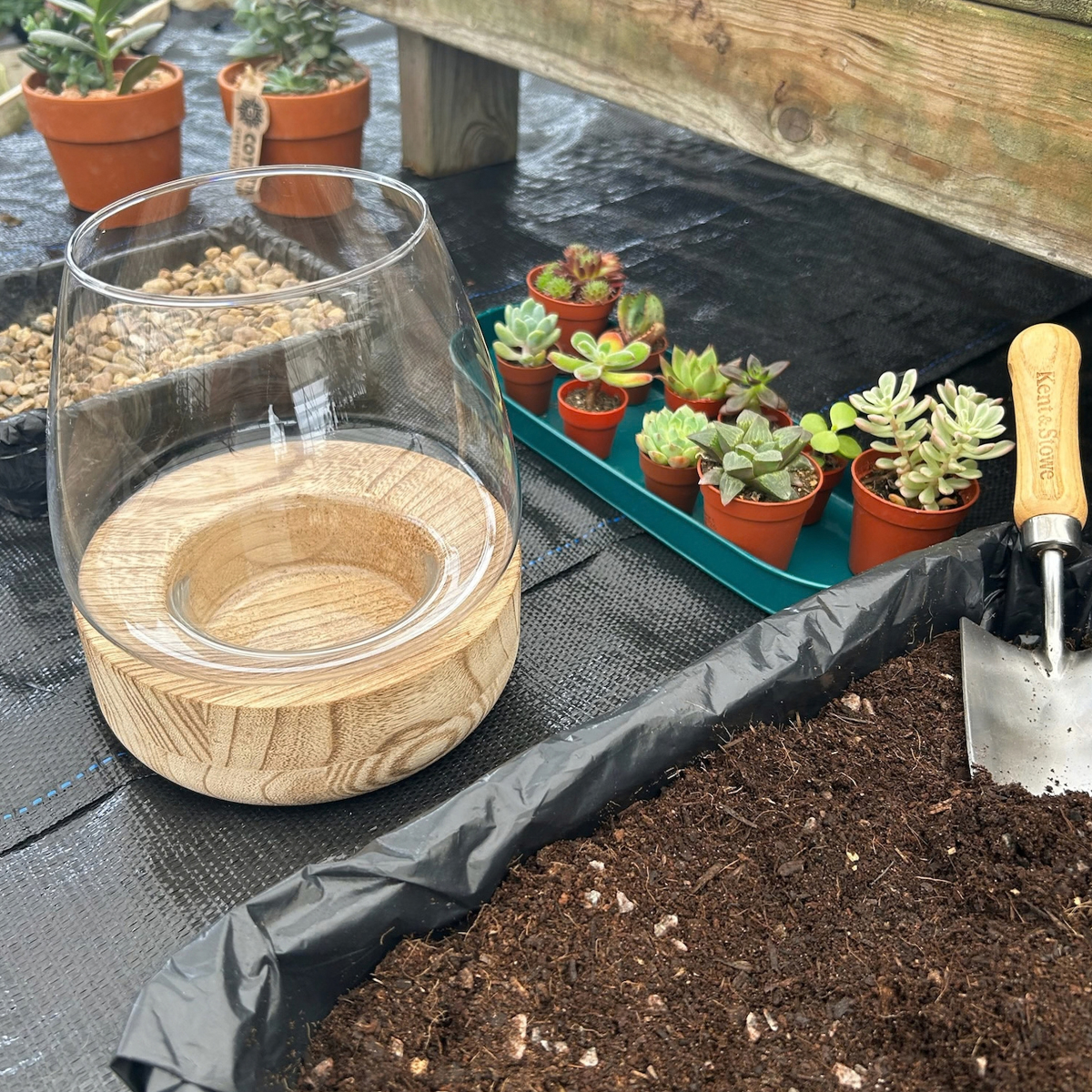Terrarium & Candle Workshop - Image 2