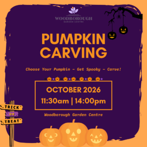 Pumpkin Carving