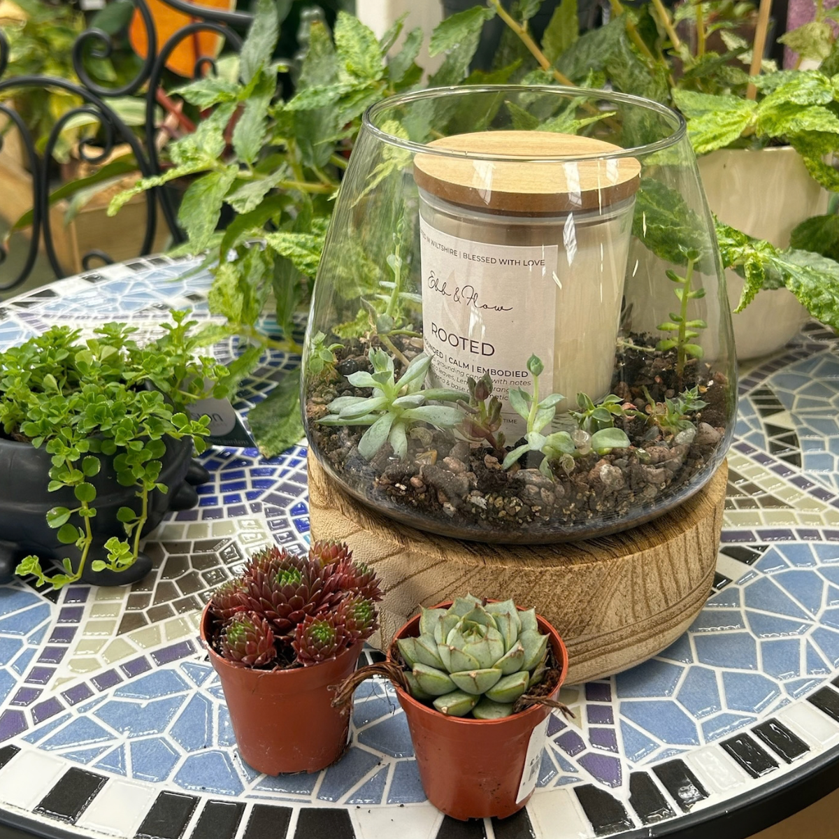 Terrarium & Candle Workshop - Image 4